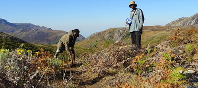 Deploying AP Sensing fiber optic sensing for monitoring in remote mountain environment Deploying AP Sensing fiber optic sensing for monitoring in remote mountain environment