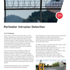 Flyer: Perimeter Intrusion Detection Flyer: Perimeter Intrusion Detection
