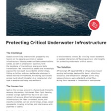 Flyer: Critical Underwater Infrastructure 