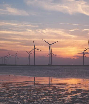 Renewable energy wind farm at sunset, representing assets suitable for AP Sensing fiber optic condition monitoring Renewable energy wind farm at sunset, representing assets suitable for AP Sensing fiber optic condition monitoring