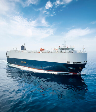 RoRo ship at sea