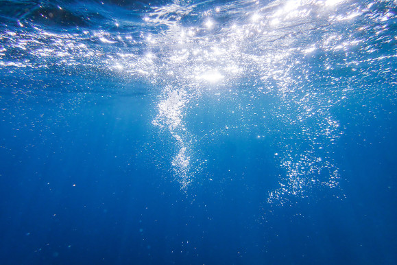 Underwater_AdobeStock_684251270_lowres