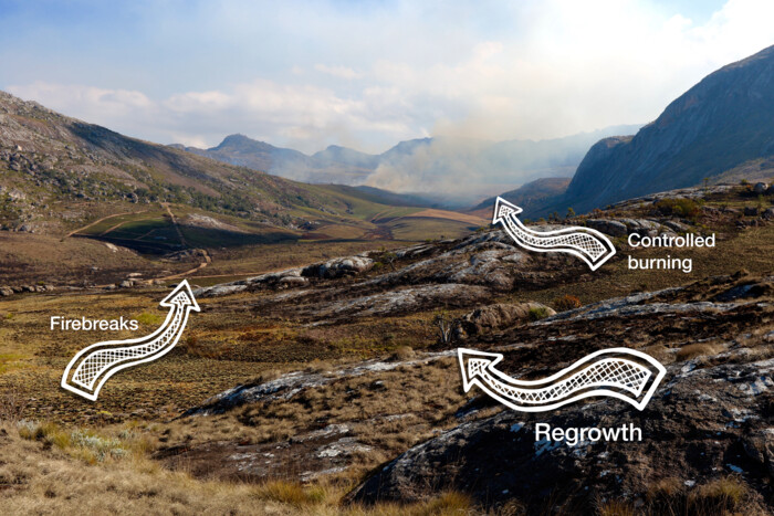 Monitoring and prevention of fires in challenging outdoor environments, crucial for protecting critical assets Monitoring and prevention of fires in challenging outdoor environments, crucial for protecting critical assets