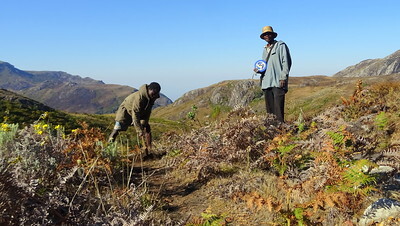 Firebreak Malawi